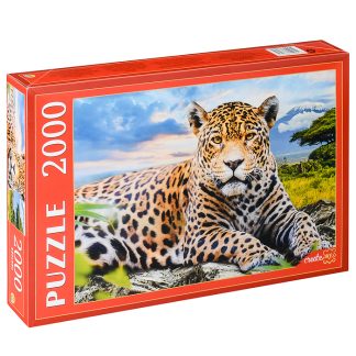 Пазлы 2000 "Большой леопард"