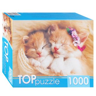 Пазлы 1000 TOPpuzzle "Два спящих котенка"
