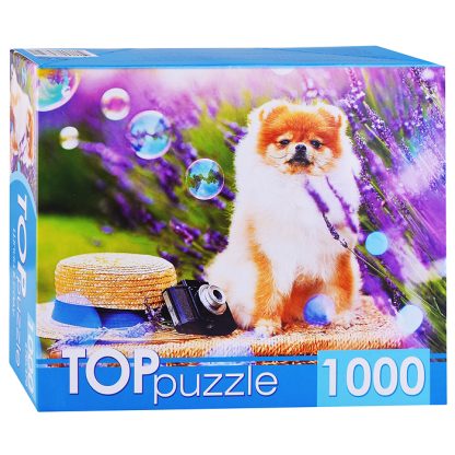 Пазлы 1000 TOPpuzzle "Шпиц в саду"