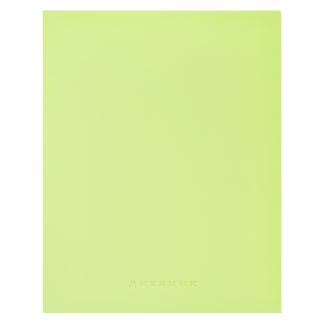Дневник "Light green soft touch" универсальный блок, 48 листов, кремовая бумага 80 г/м², печать в 1 краску, мягкая обложка из искусственной кожи, термо тиснение, 1 ляссе