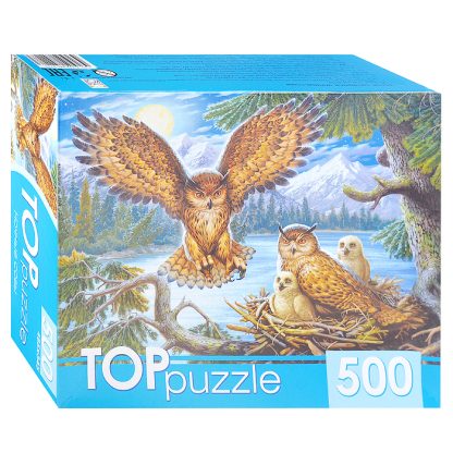 Пазлы 500 TOPpuzzle "Ночные совы"